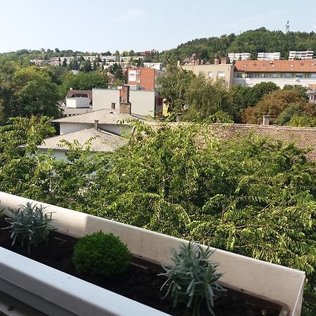 Malnas Macska Apartman Szekszárd Exteriör bild