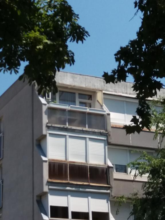 Malnas Macska Apartman Szekszárd Exteriör bild