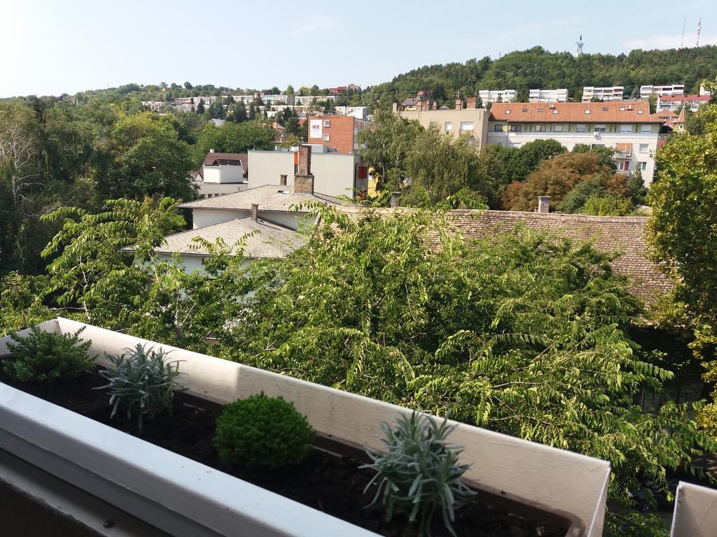 Malnas Macska Apartman Szekszárd Exteriör bild