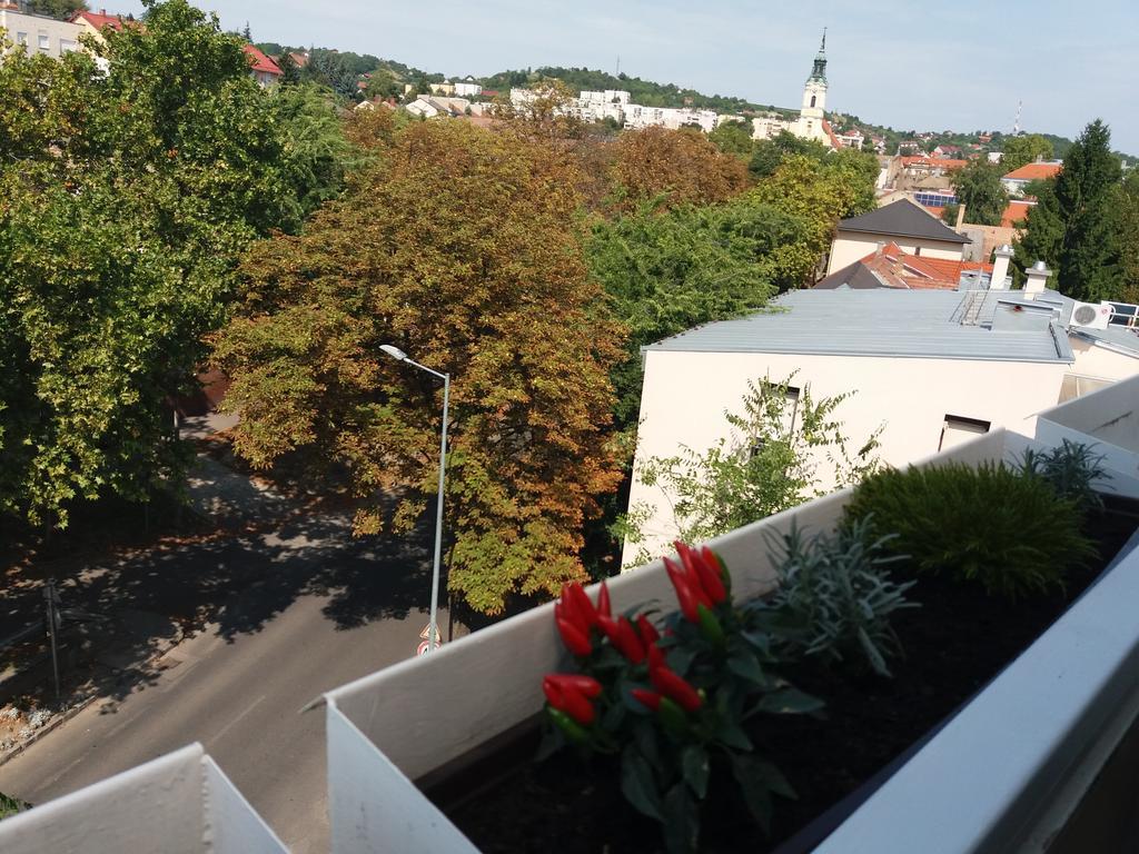 Malnas Macska Apartman Szekszárd Exteriör bild
